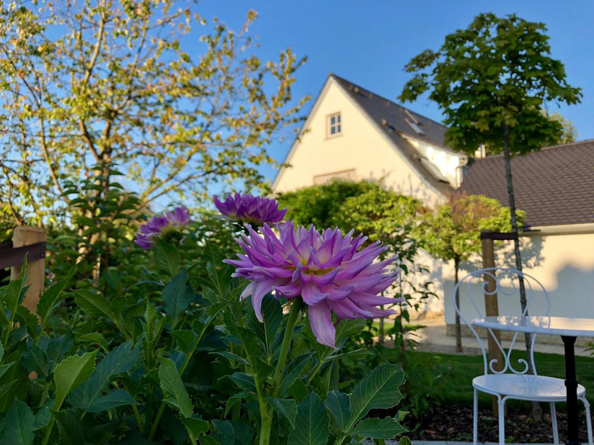 B & B Villa Dahlia Backnang Zewnętrze zdjęcie
