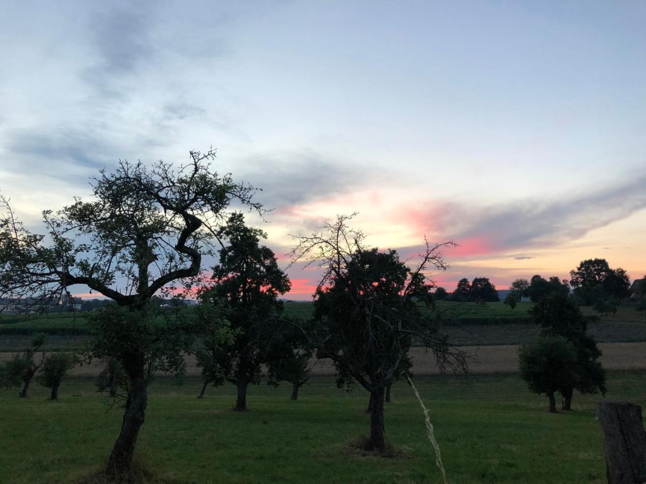 B & B Villa Dahlia Backnang Zewnętrze zdjęcie