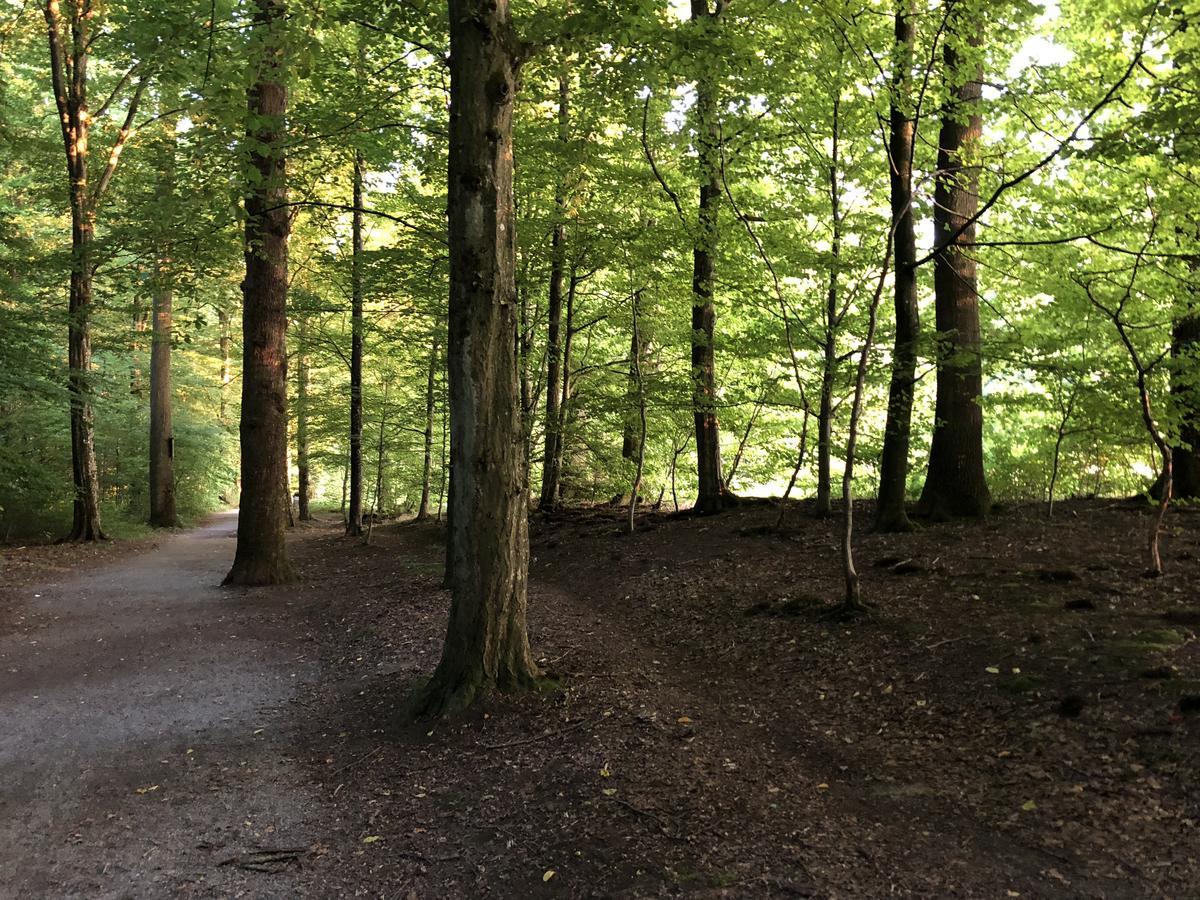 B & B Villa Dahlia Backnang Zewnętrze zdjęcie